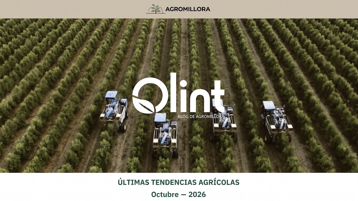 Agromillora clint 2.jpeg